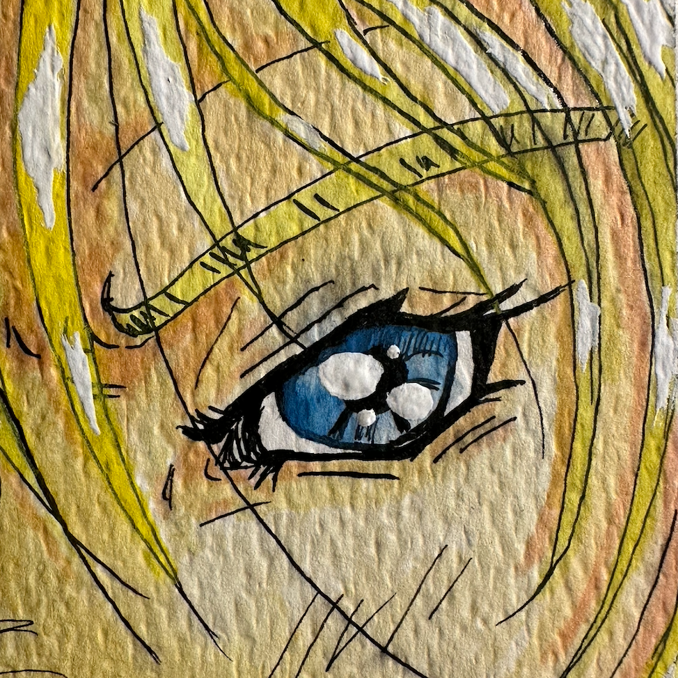 Novel